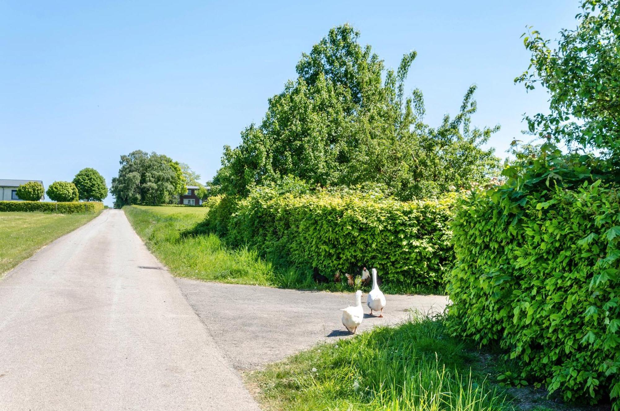 Ferienwohnung Landleben Hofgeismar Esterno foto